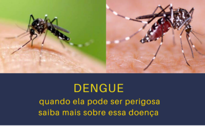 Dengue, como ocorre, como diagnosticar, qual a fase mais perigosa da doença