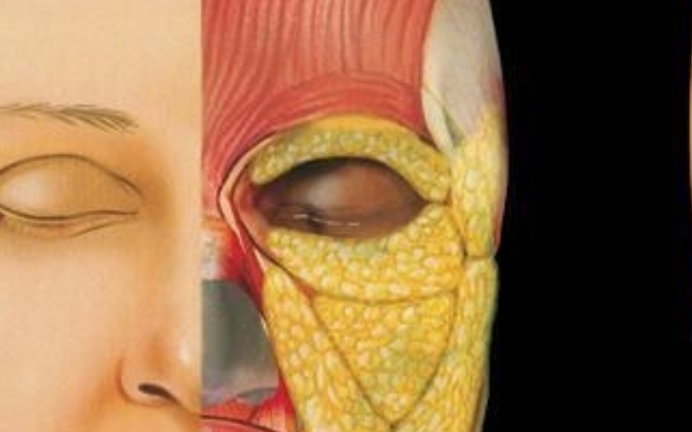 sefiller preenchimento com gordura dr tovo telefone