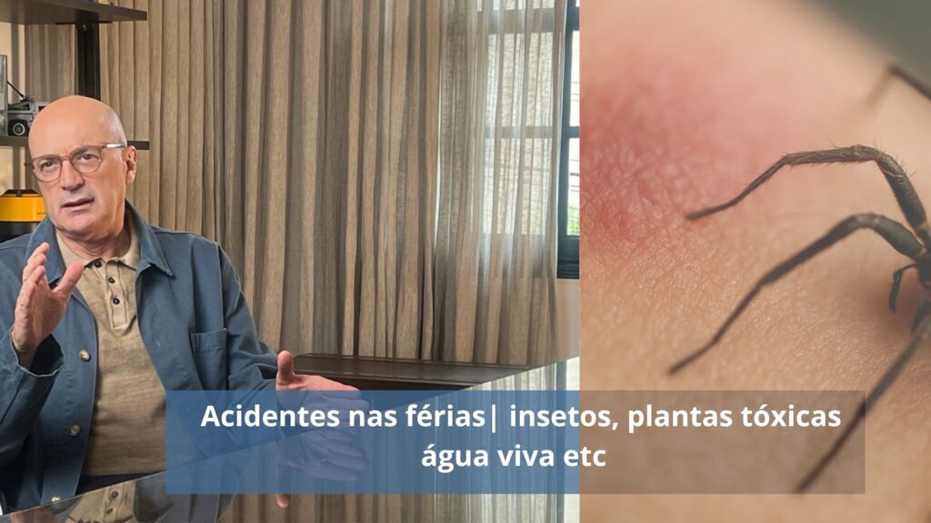 acidentes nas férias insetos, plantas toxicas agua viva